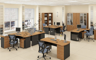 Статус - Офисная мебель для персонала темного декора темного декора на Office-mebel.ru
