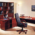 Мебель для кабинета VIP Персона на Office-mebel.ru 1