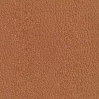 Эко-кожа серии Oregon св. коричневый