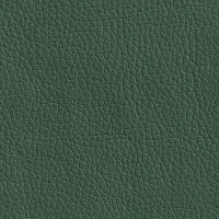 Эко-кожа серии Oregon зеленый