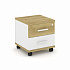 Тумба мобильная 2 ящика. CN.TUM-001 на Office-mebel.ru 1