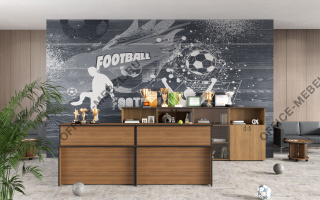 Дин-Р - Мебель для приемных из материала ЛДСП из материала ЛДСП на Office-mebel.ru