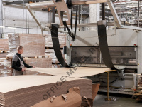 Фанеру начинают активнее поставлять в Африку и производить в Хабаровске: новости промышленности